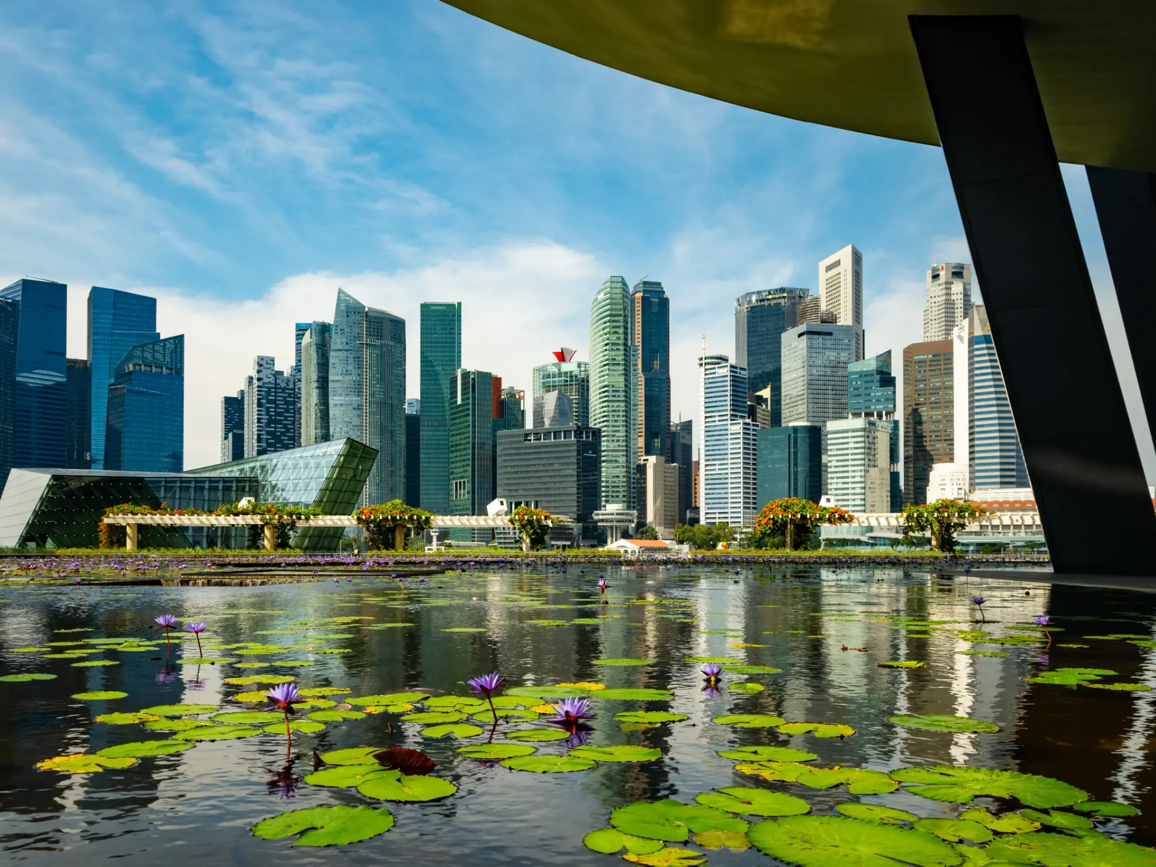view-of-singapore-city-skyline-with-pond-in-foreground_4_3