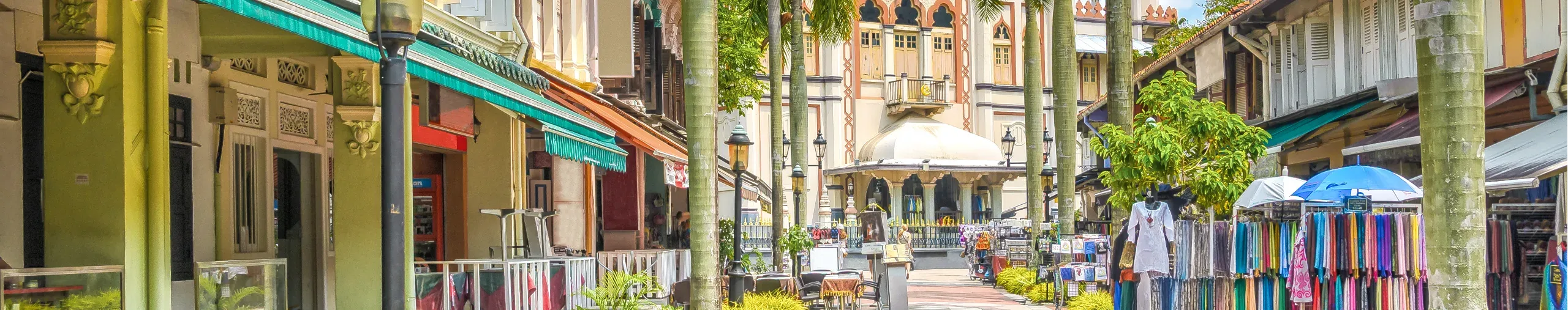 colorful-shophouses-with-typical-shops-and-the-sultan-mosque-in-kampong-glam_hero_medium