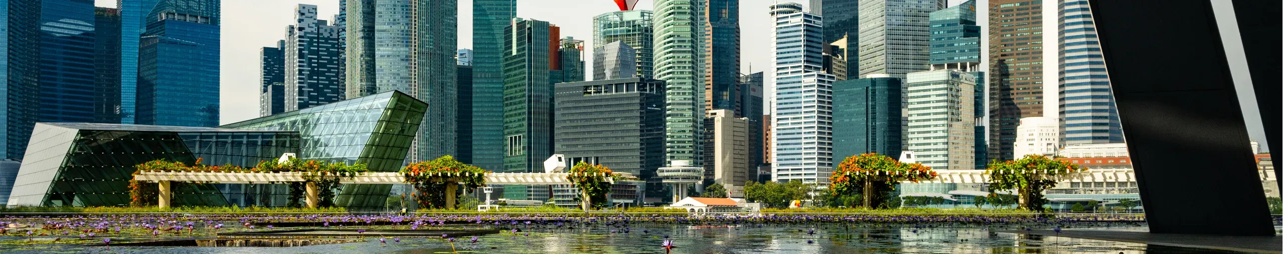 view-of-singapore-city-skyline-with-pond-in-foreground
