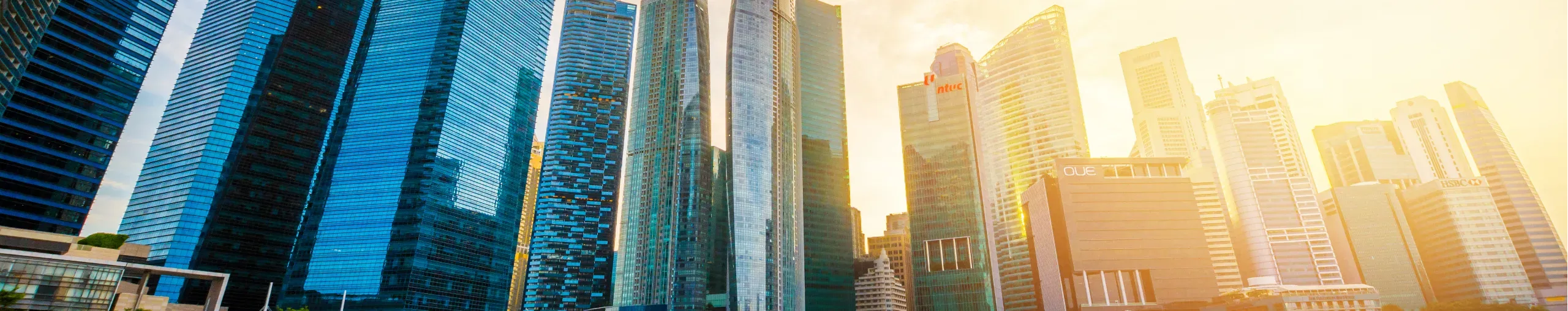 view-of-the-skyline-of-singapore-downtown-cbd_hero_medium